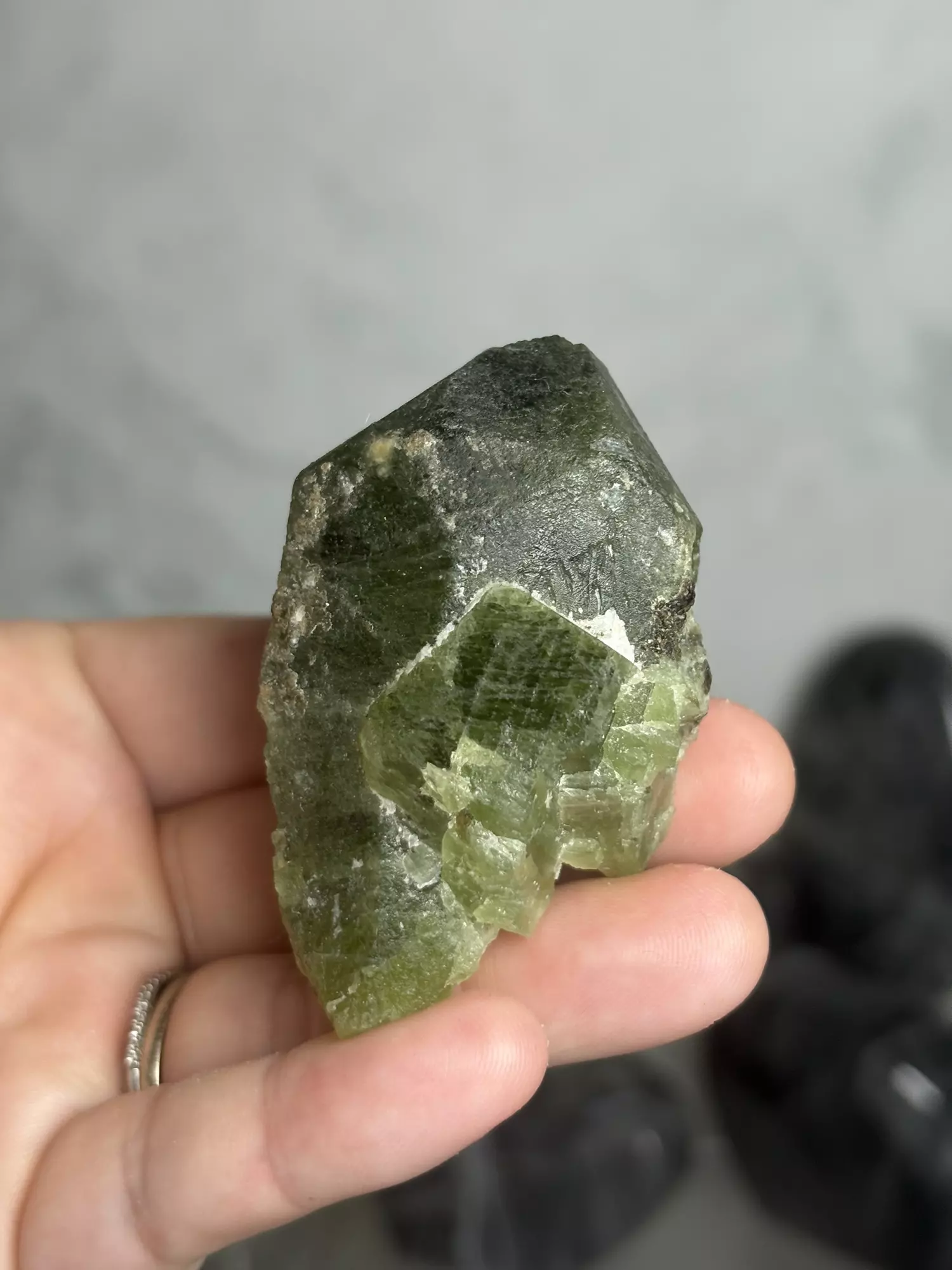 plant/Diopside - Afghanistan was $60-1