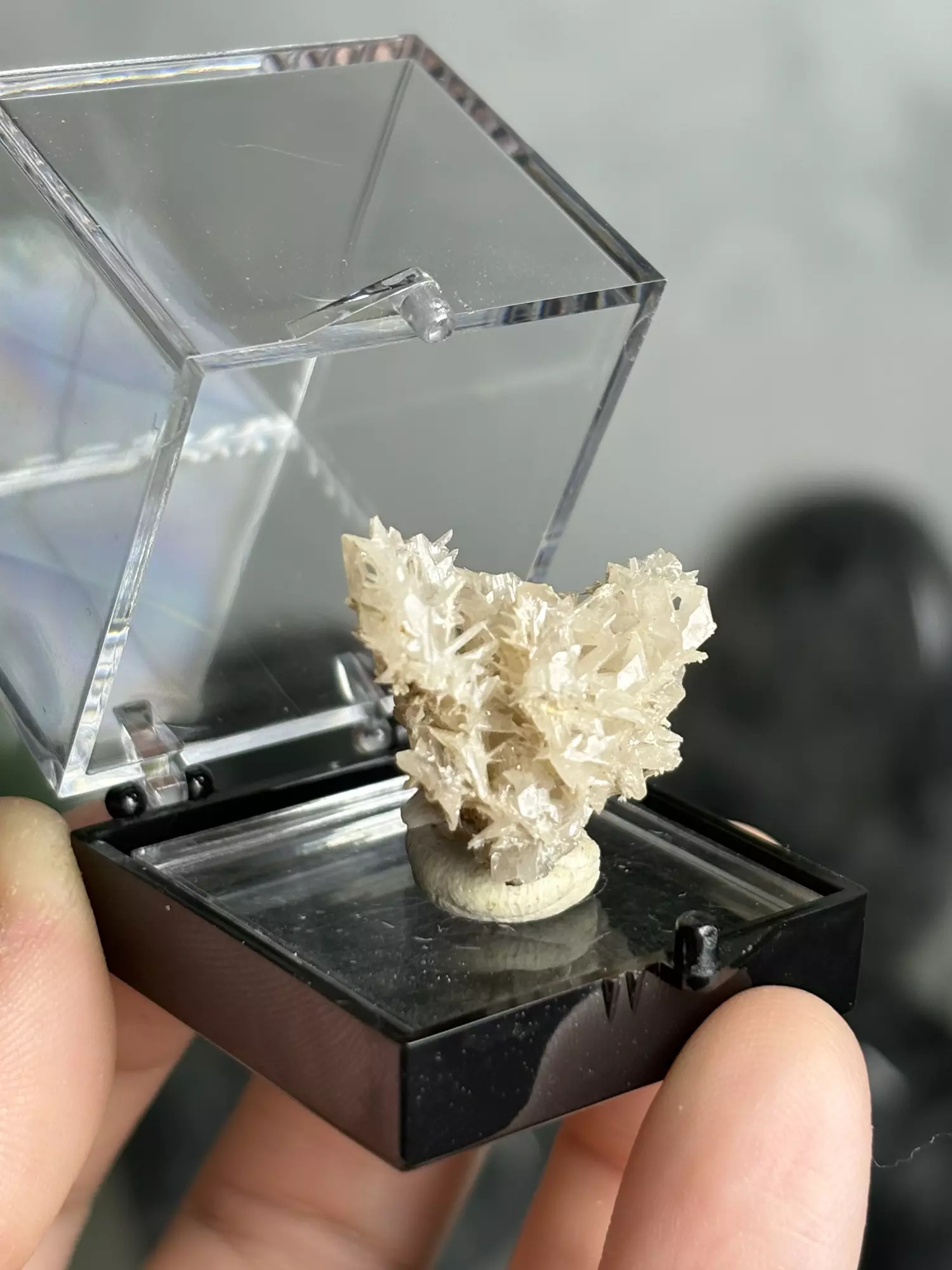 plant/Reticulated Cerussite 2 - Iran was $56-0