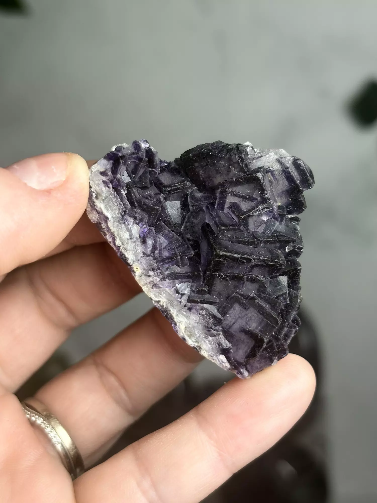 plant/Fluorite 3 - Inner Mongolia was $66-0