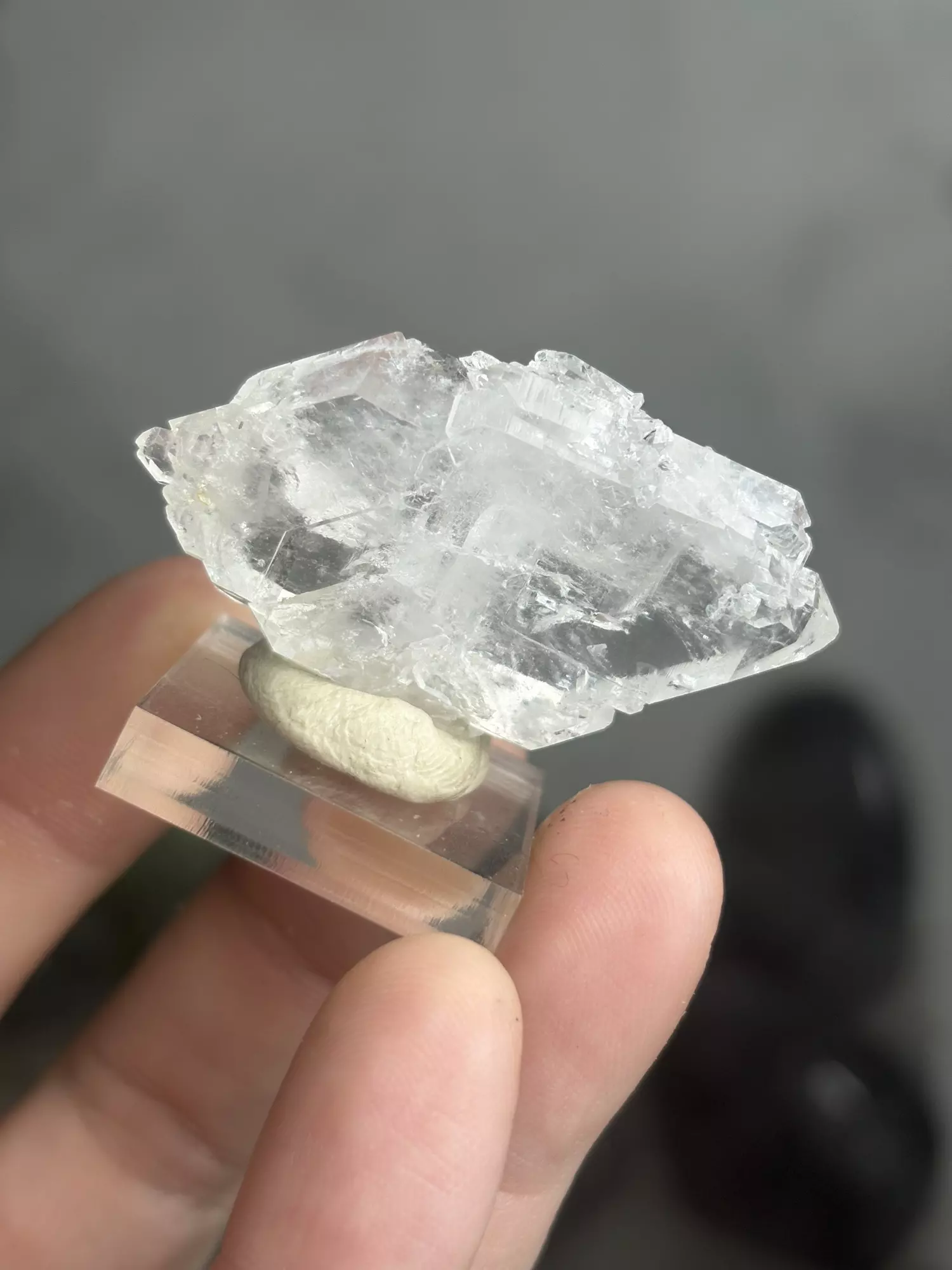 plant/Faden Quartz 3 - Pakistan was $20-0