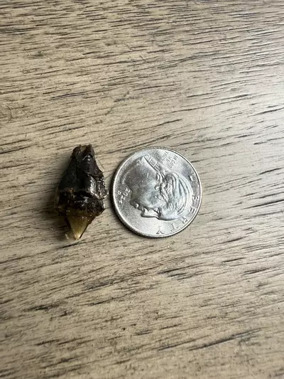 plant/Corazon-0-thumbnail