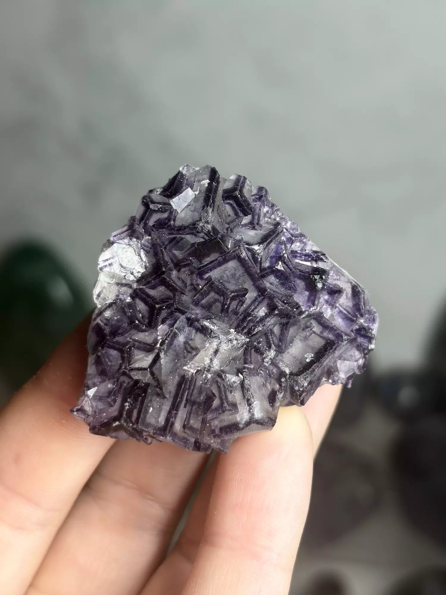 plant/Fluorite 2 - Inner Mongolia was $60-0