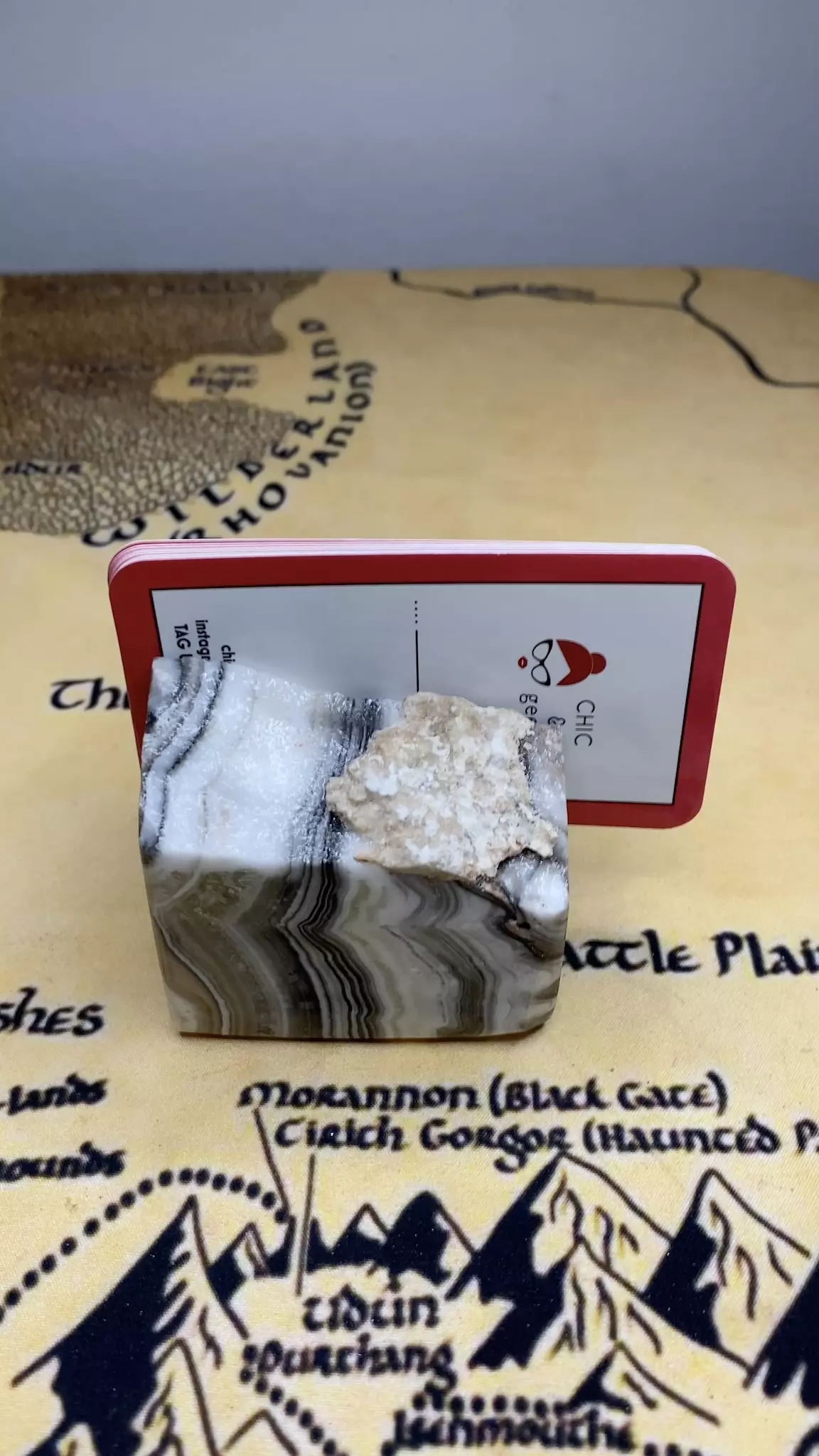 plant/(F) Onyx Business Card Holder -0