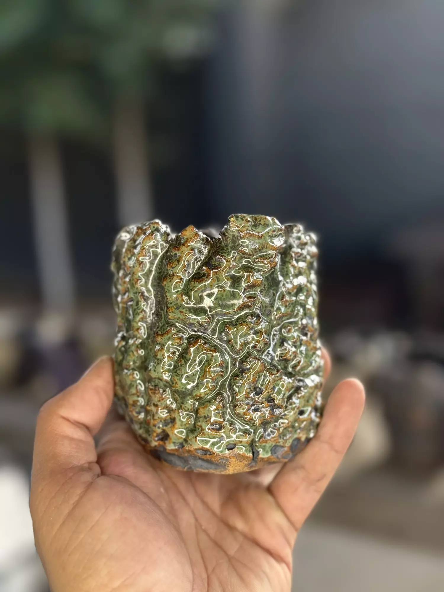 plant/Hoya green 3.25x3.5-0