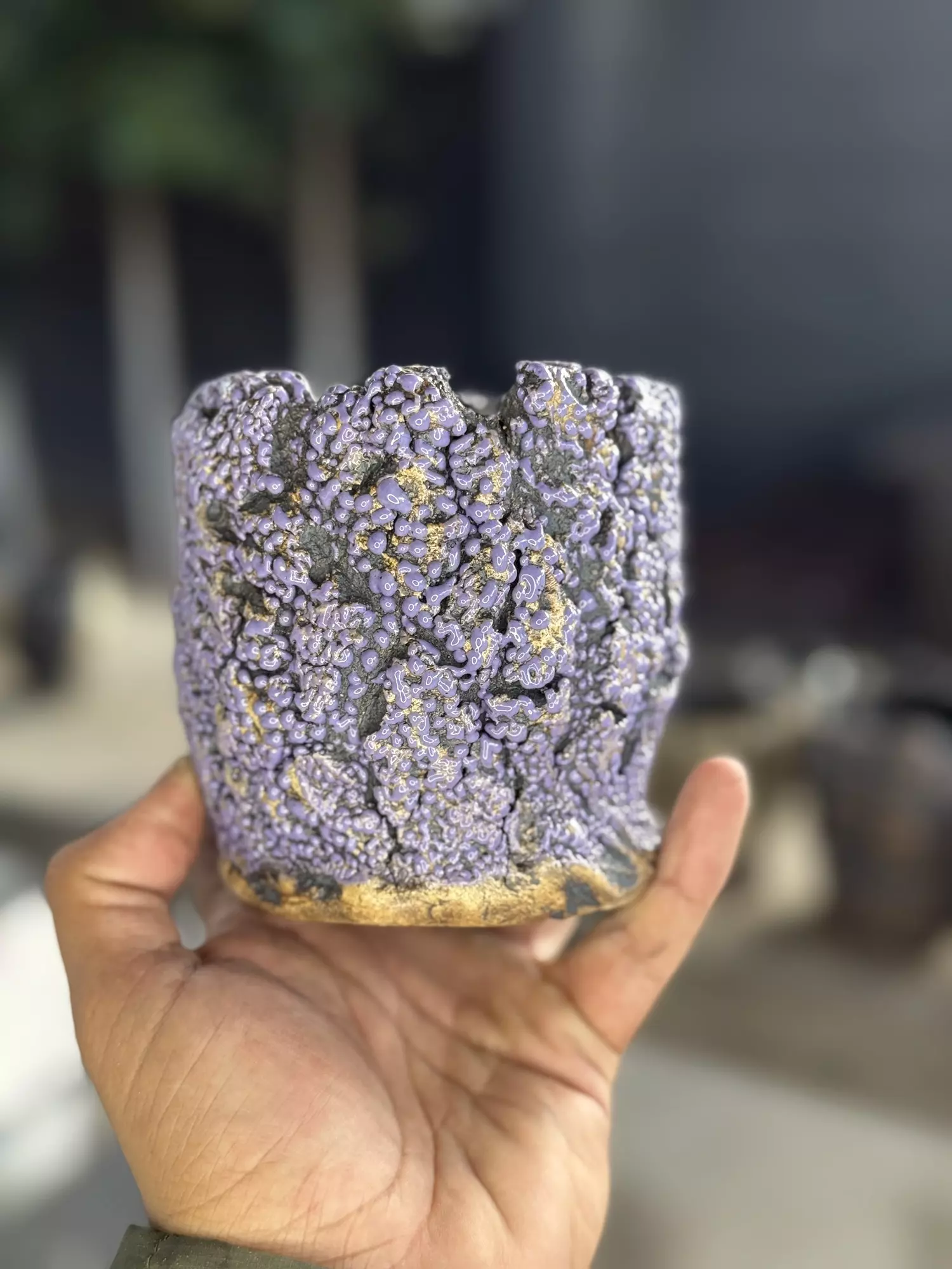 plant/Purple Nurple 4x4-0