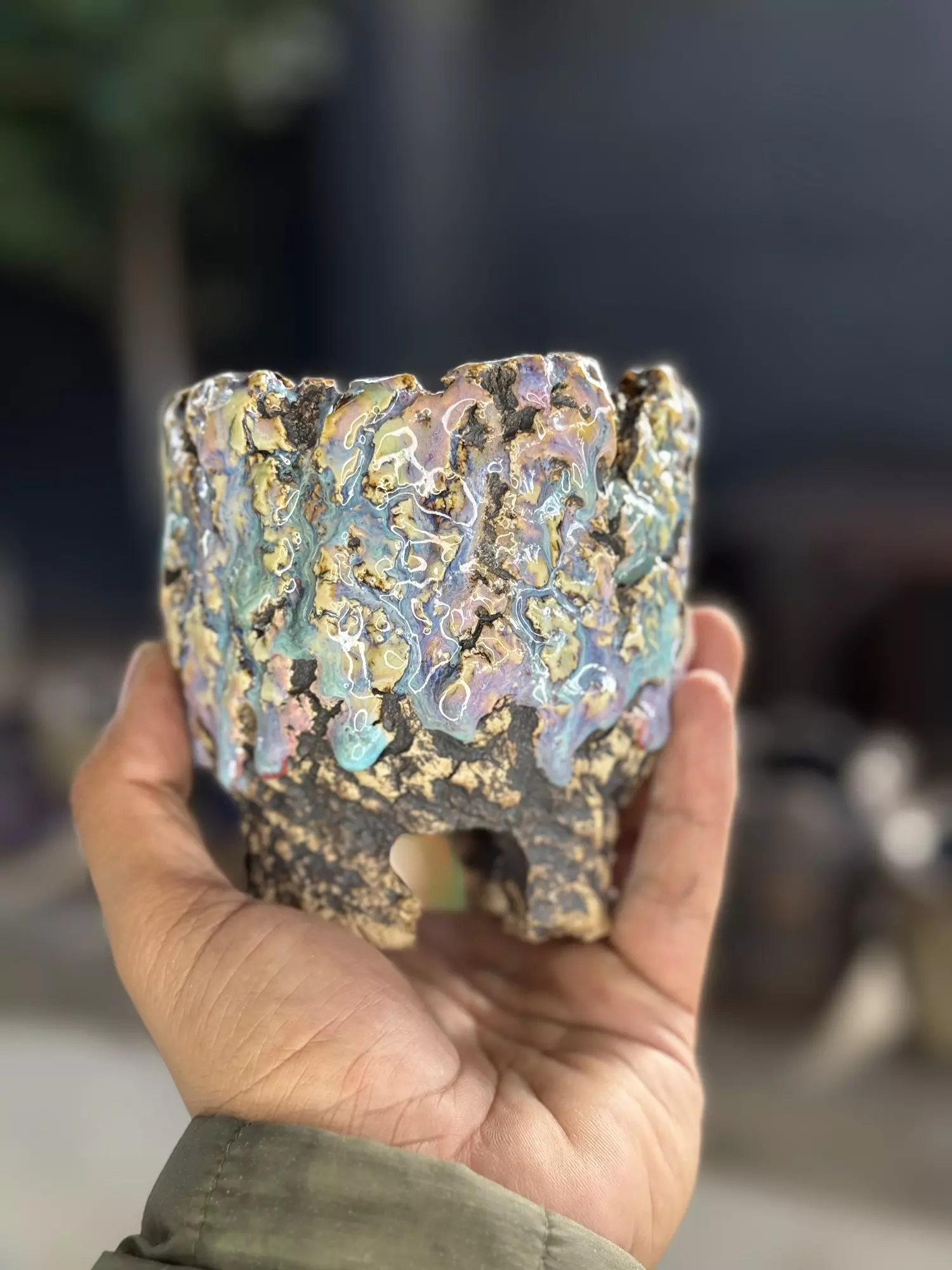 plant/Cotton candy footed 4x4-0