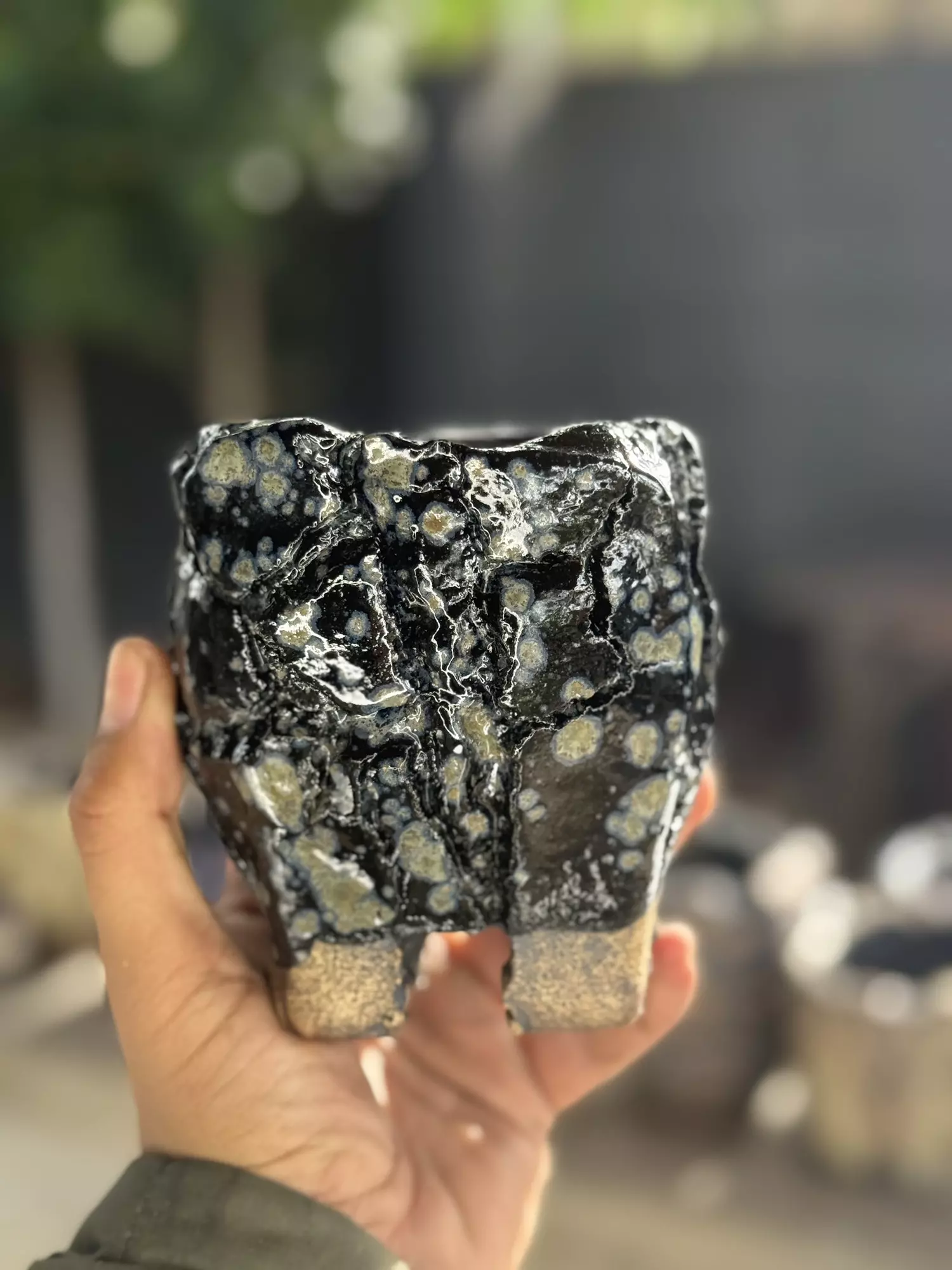 plant/Blackhole footed 4x4.5H-0