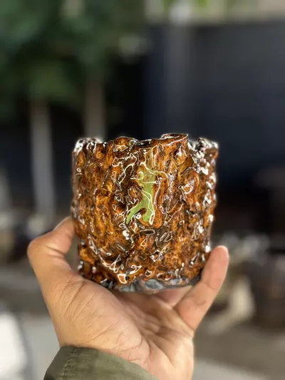 plant/Emerald drip Tiger 4x4-0-thumbnail