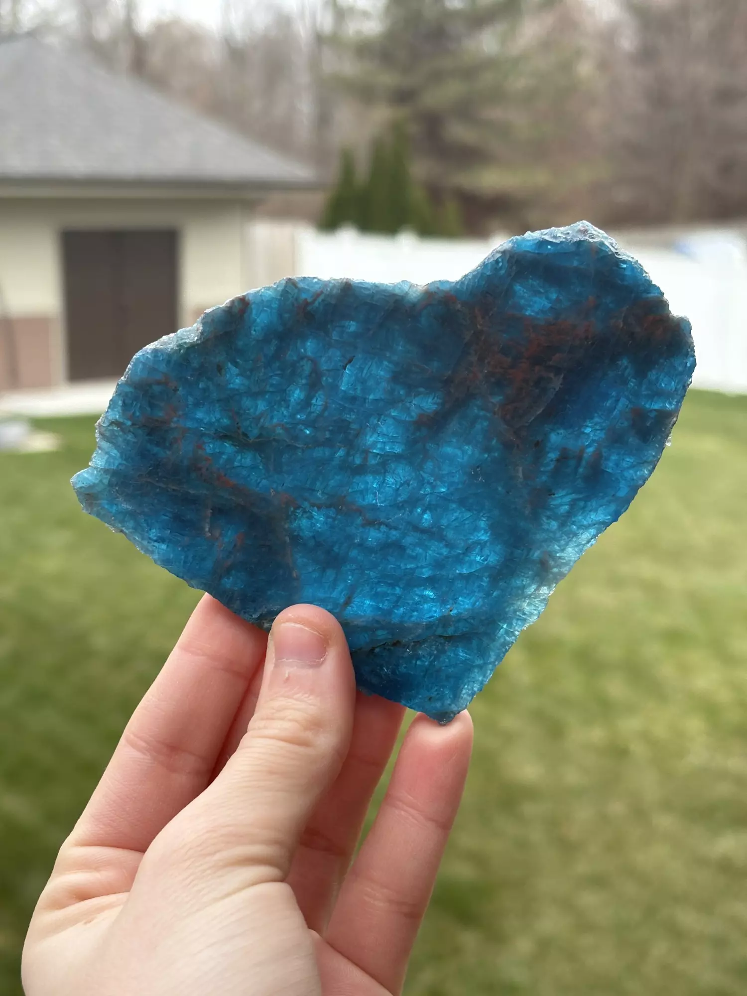 plant/Blue Apatite Slab 4-0