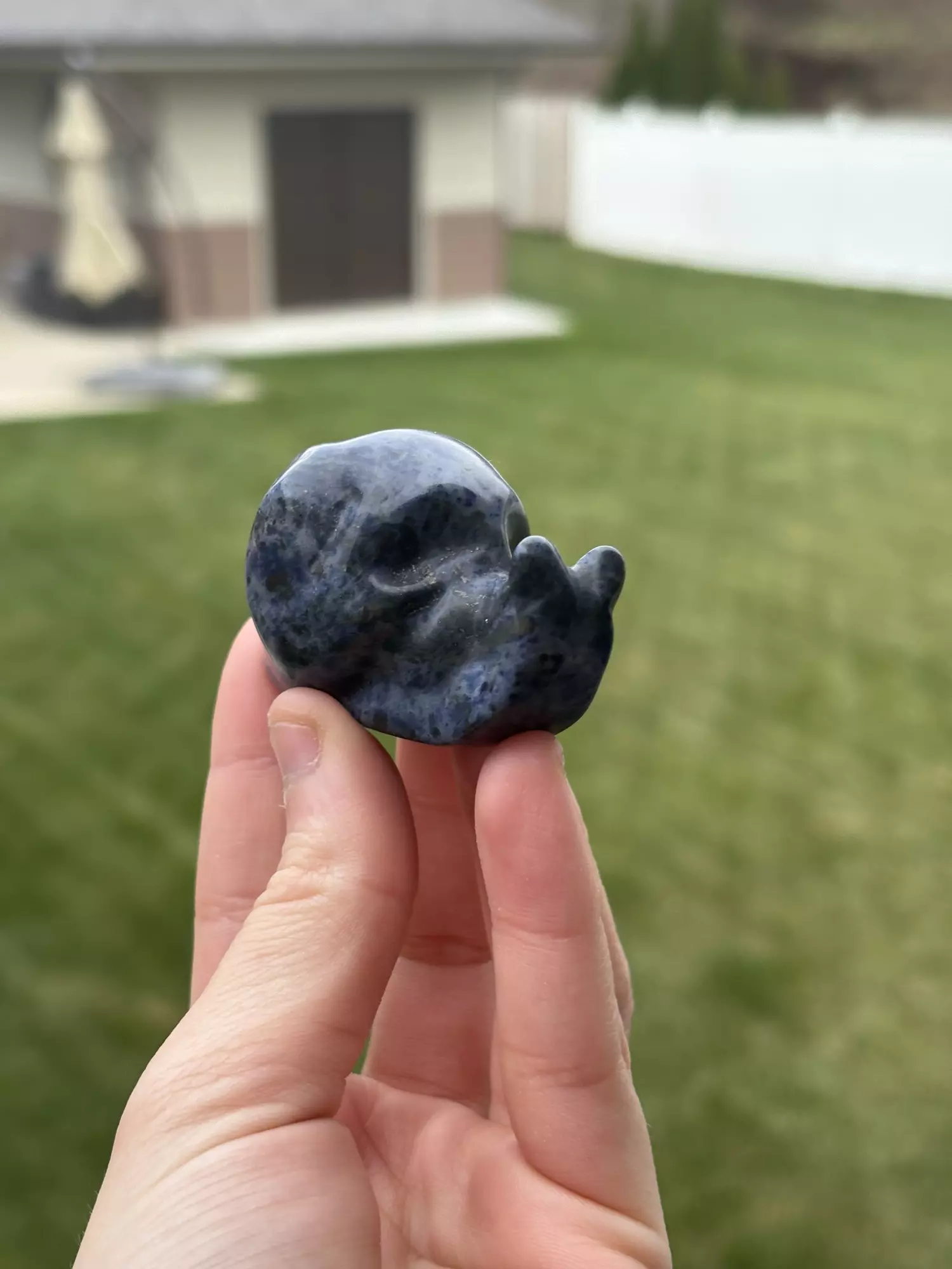 plant/Sodalite Snail-0