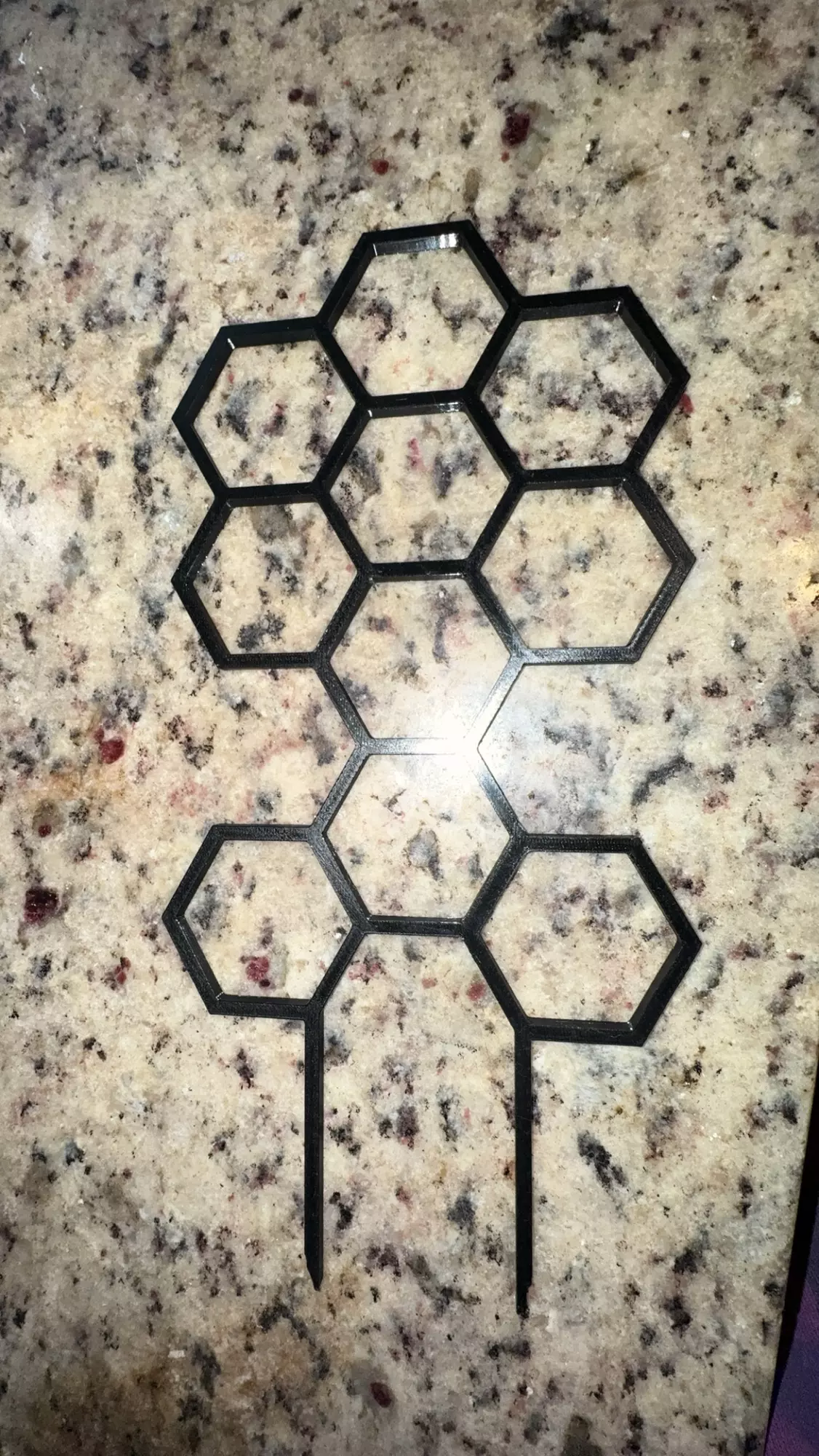 plant/Black trellis-0