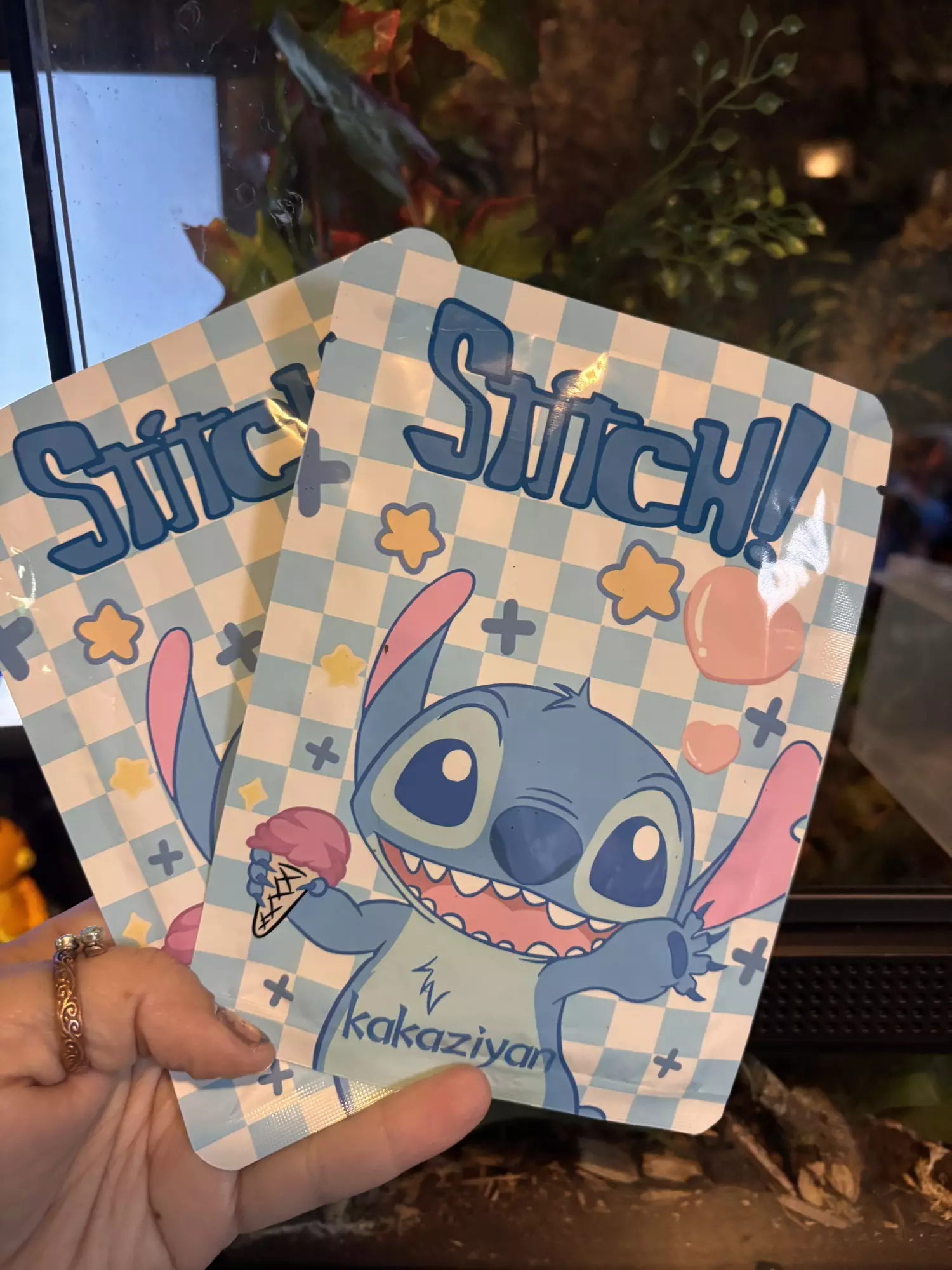 plant/Stitch 2-pack face mask -0