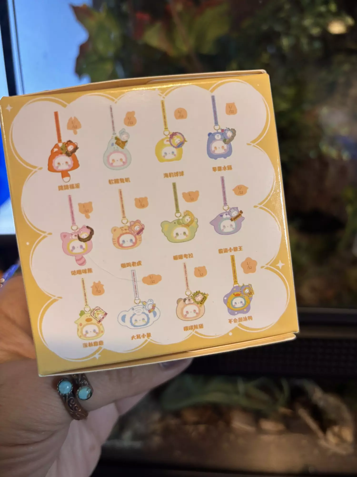 plant/Lucky Emma Blind Box-1