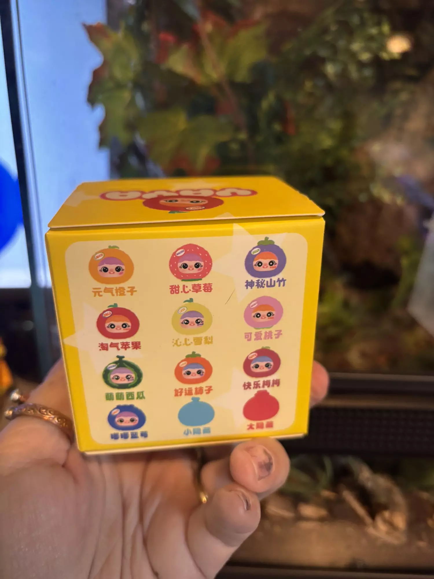 plant/Yaya Blind Box-1