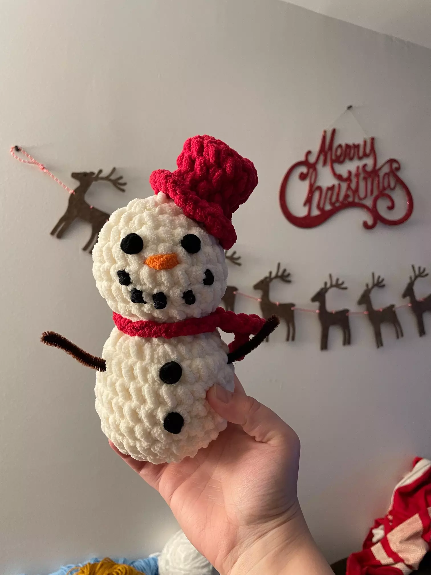 plant/Crochet Snowman with pipe cleaner arms-0