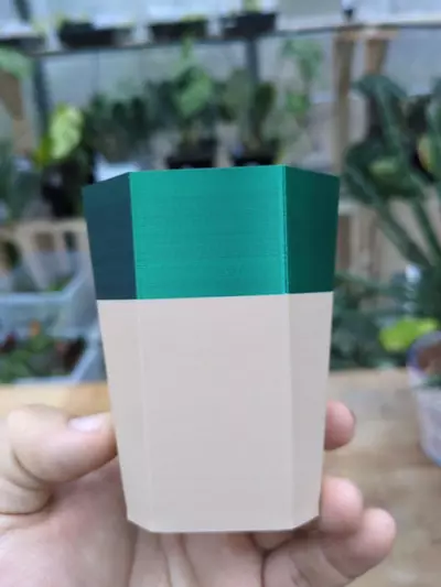 plant/Set of 3 - 2.5 x 3.6 - drainage-1-thumbnail