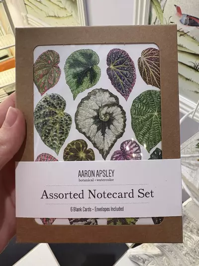 plant/6 pack of botanical cards-0-thumbnail