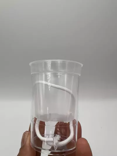 plant/2 inch SWP set (set of 10)-2-thumbnail