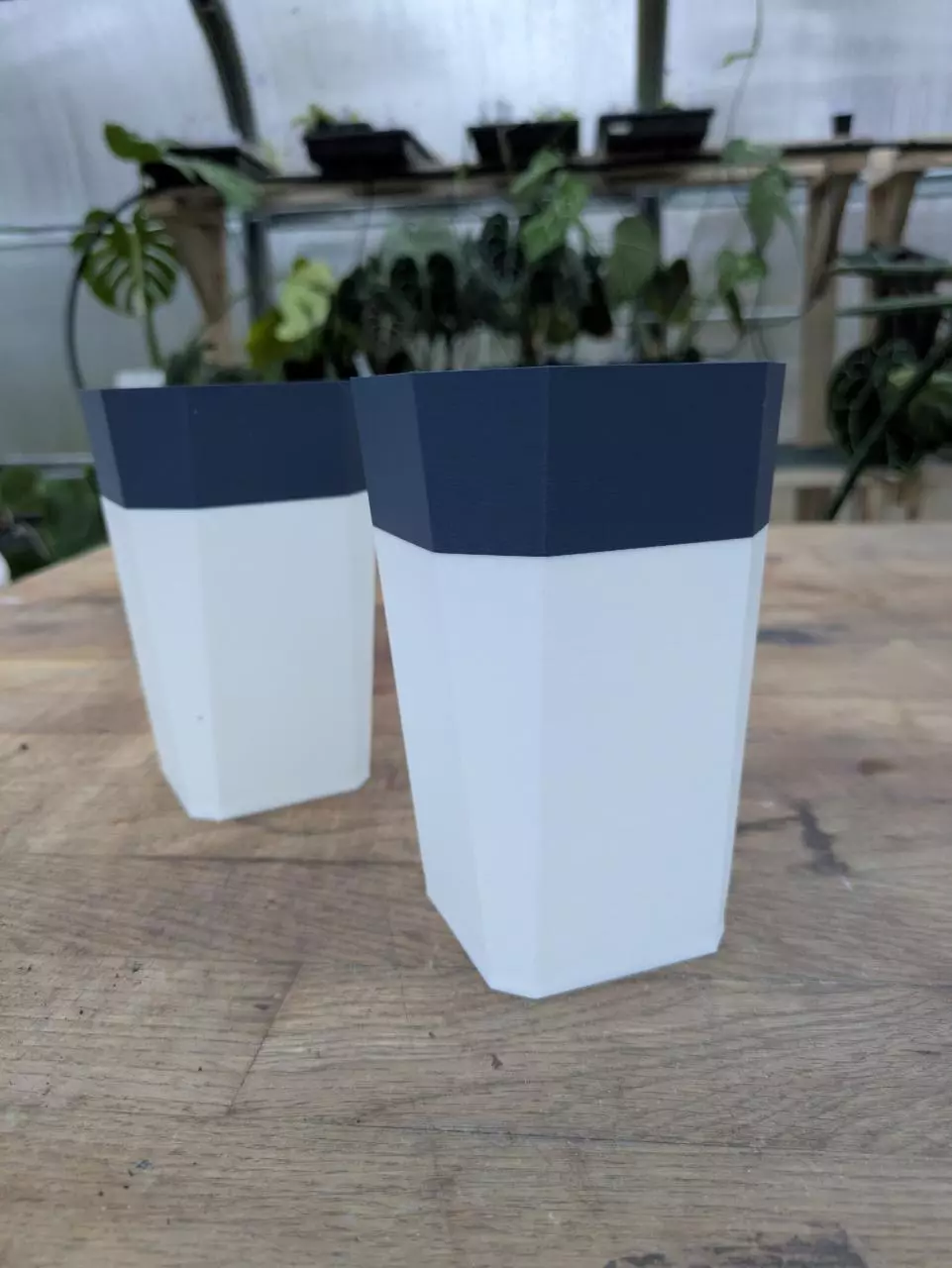 plant/Set of 2 - Medium 3.5 x 4.5 - Navy / White-0