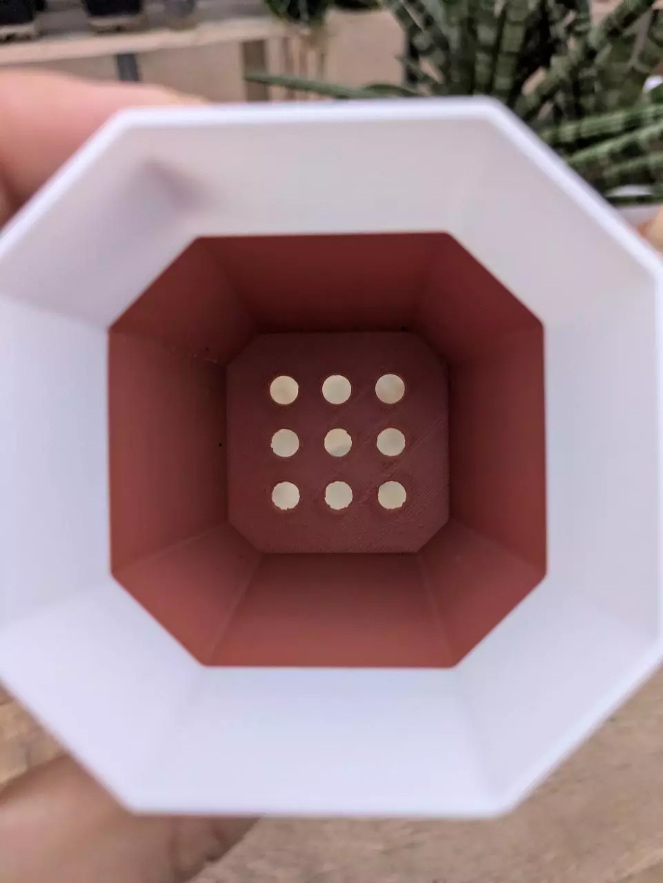 plant/Set of 3 - small 2.5 x 3.6 - Drainage-1