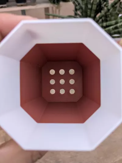 plant/Set of 3 - small 2.5 x 3.6 - Drainage-1-thumbnail