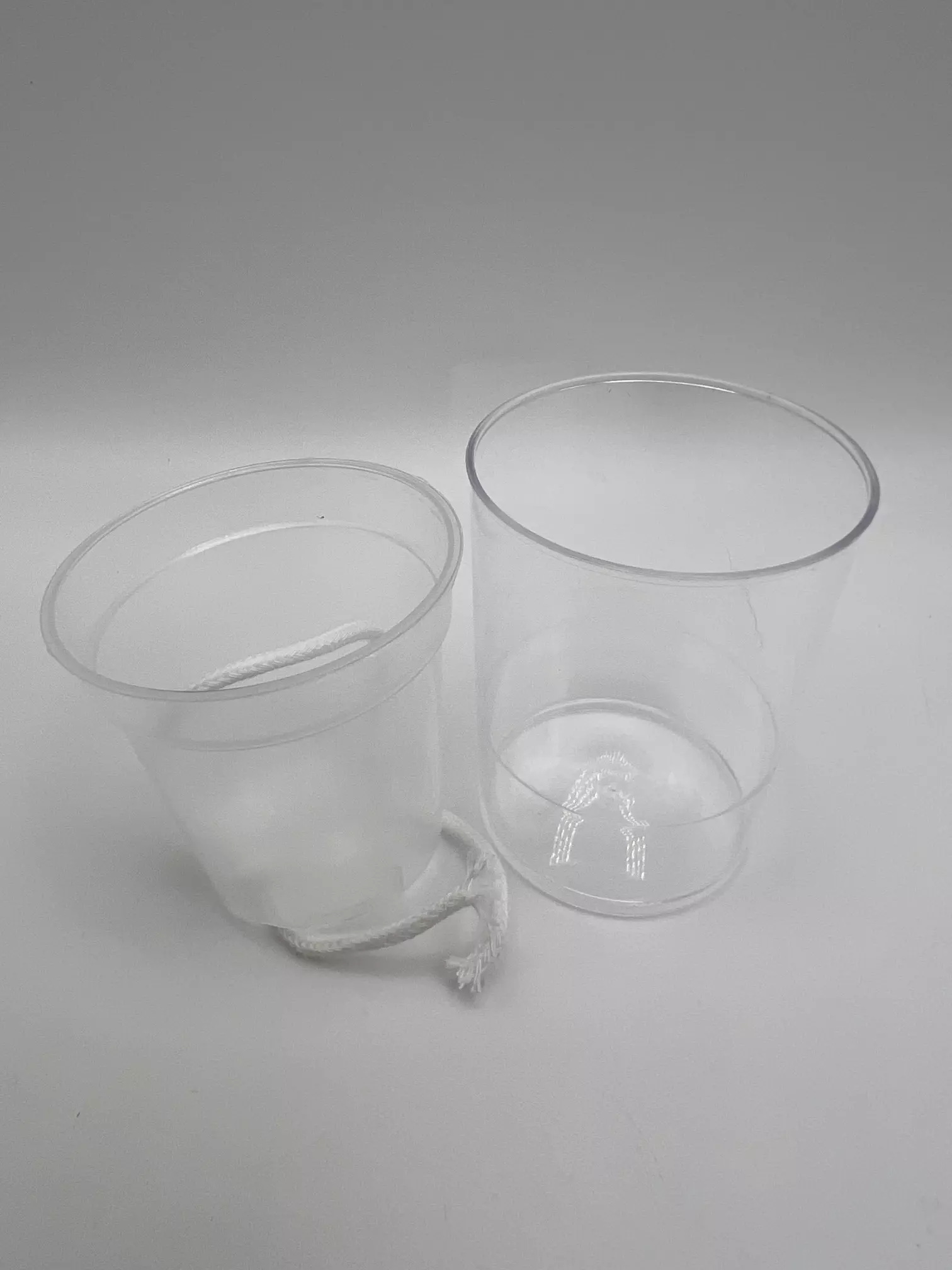 plant/2 inch SWP set (set of 10)-1