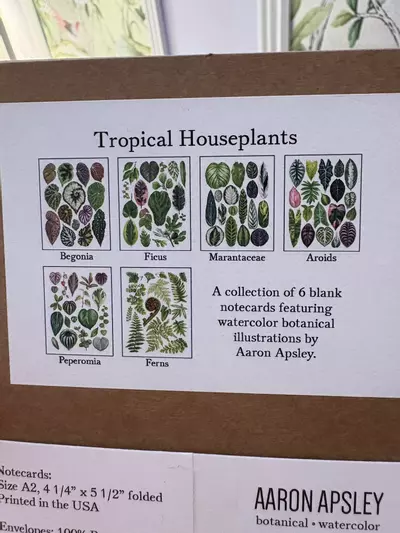 plant/6 pack of botanical cards-1-thumbnail