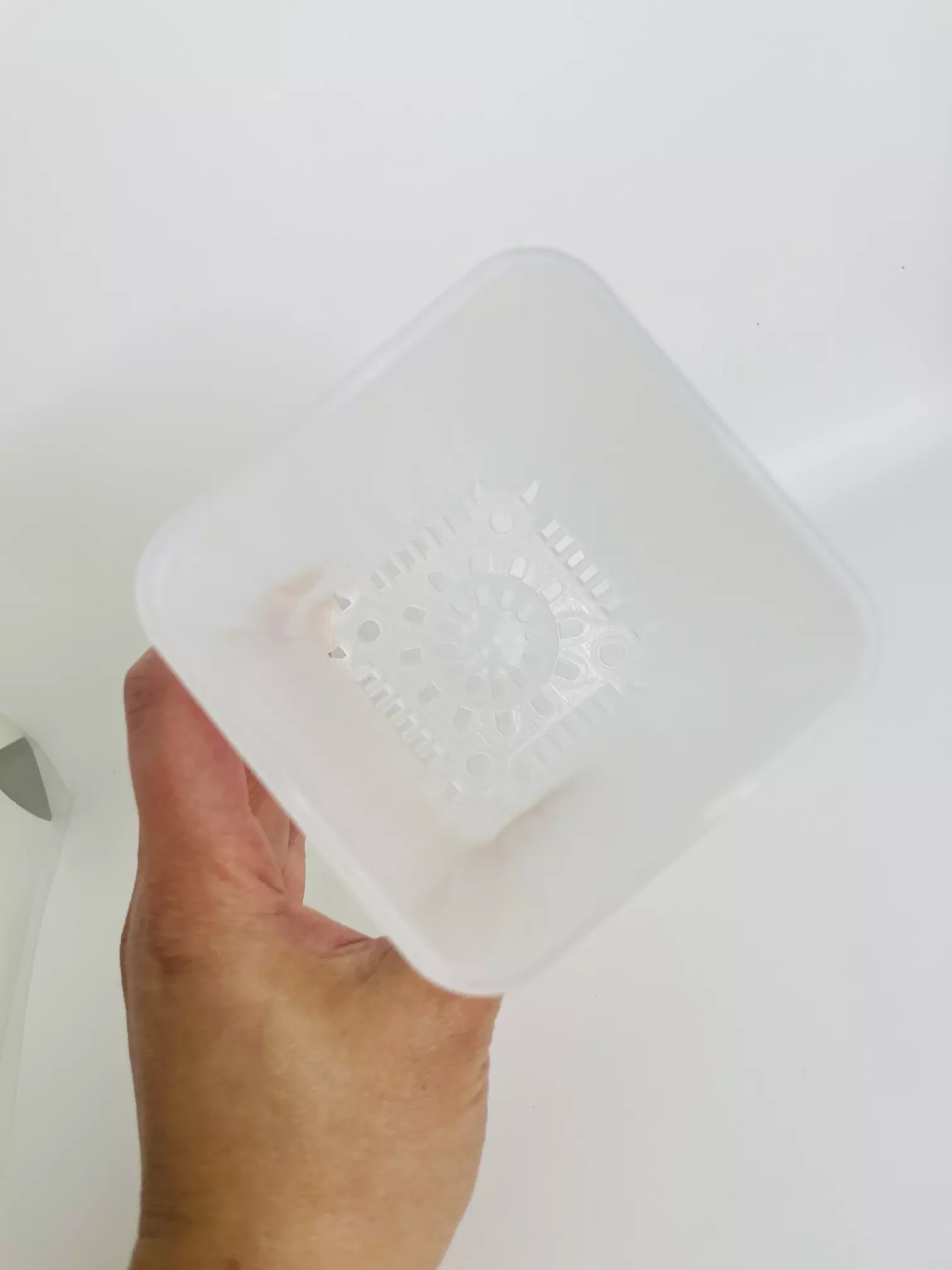 plant/3”Frosted Square Pots (Set of 5)-2