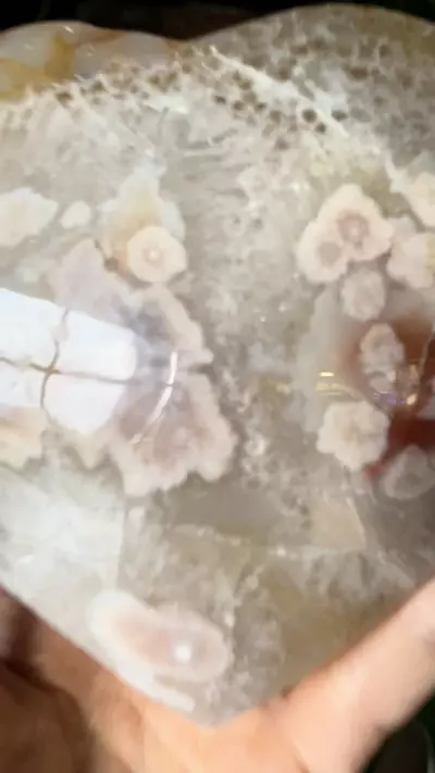 plant/Flower agate heart-0-thumbnail