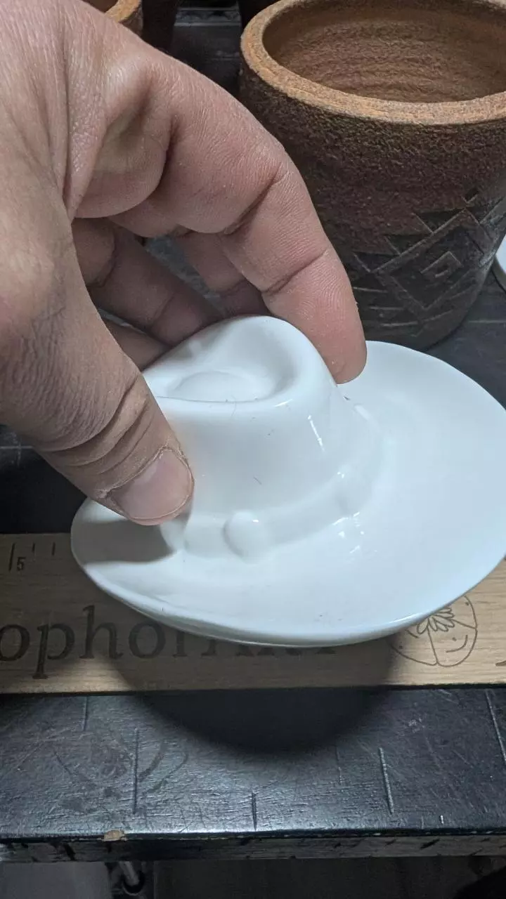 plant/DIY - Small cactus cowboy hat-0