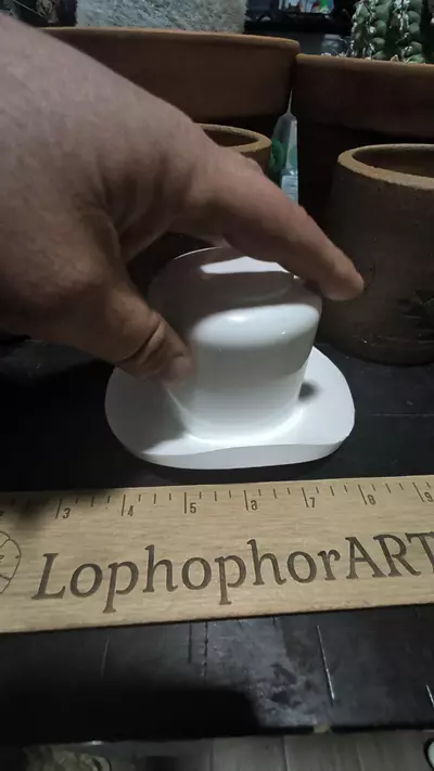 plant/DIY cactus cowboy hat - medium-0-thumbnail