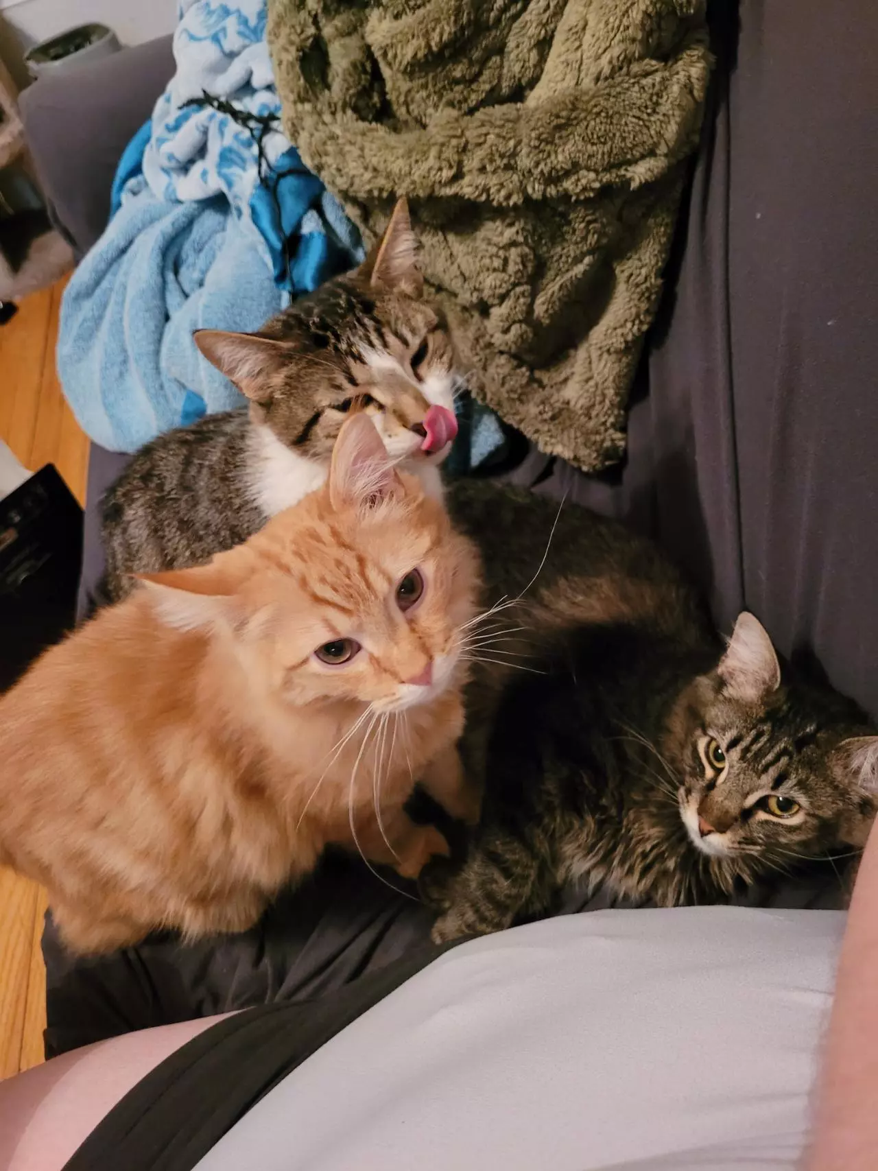 plant/Treats for my boys-2