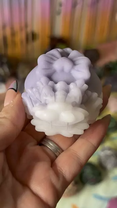 plant/Mix jade -0-thumbnail