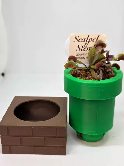 plant/Venus fly trap maroon monster in a 3d printed pot.-1-thumbnail