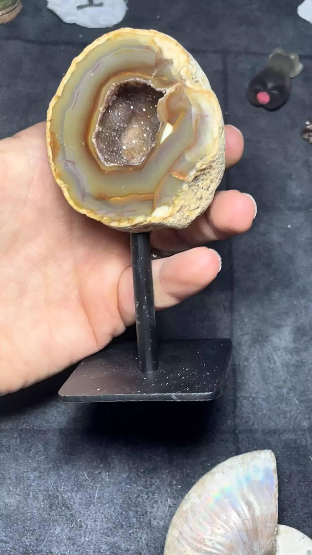 plant/Agate with druzy on stand-0