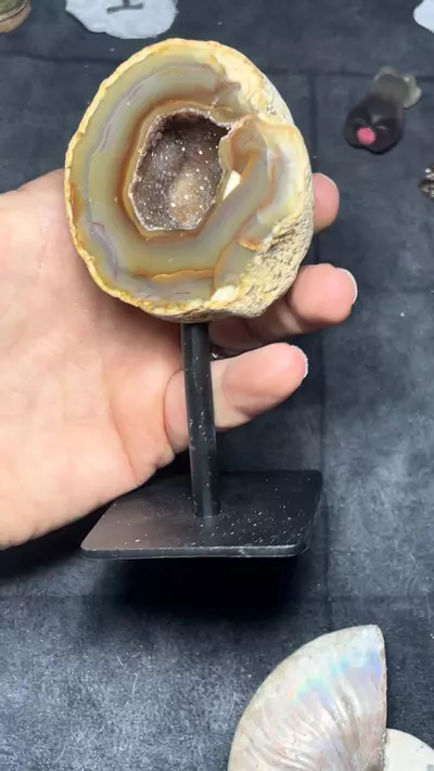 plant/Agate with druzy on stand-0-thumbnail