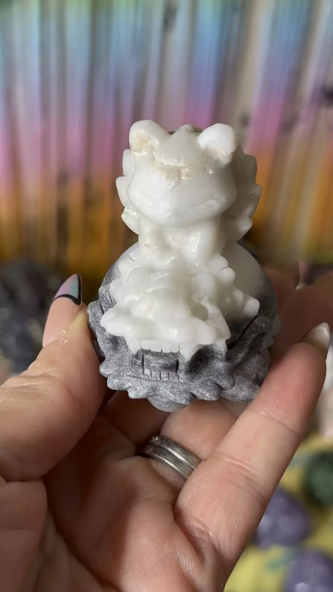 plant/Nine tails Taichi -0