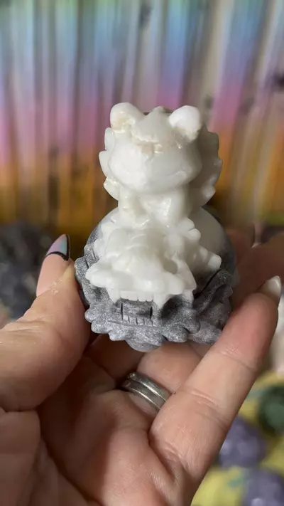 plant/Nine tails Taichi -0-thumbnail