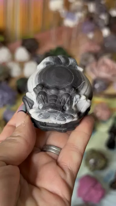 plant/Taichi-0-thumbnail