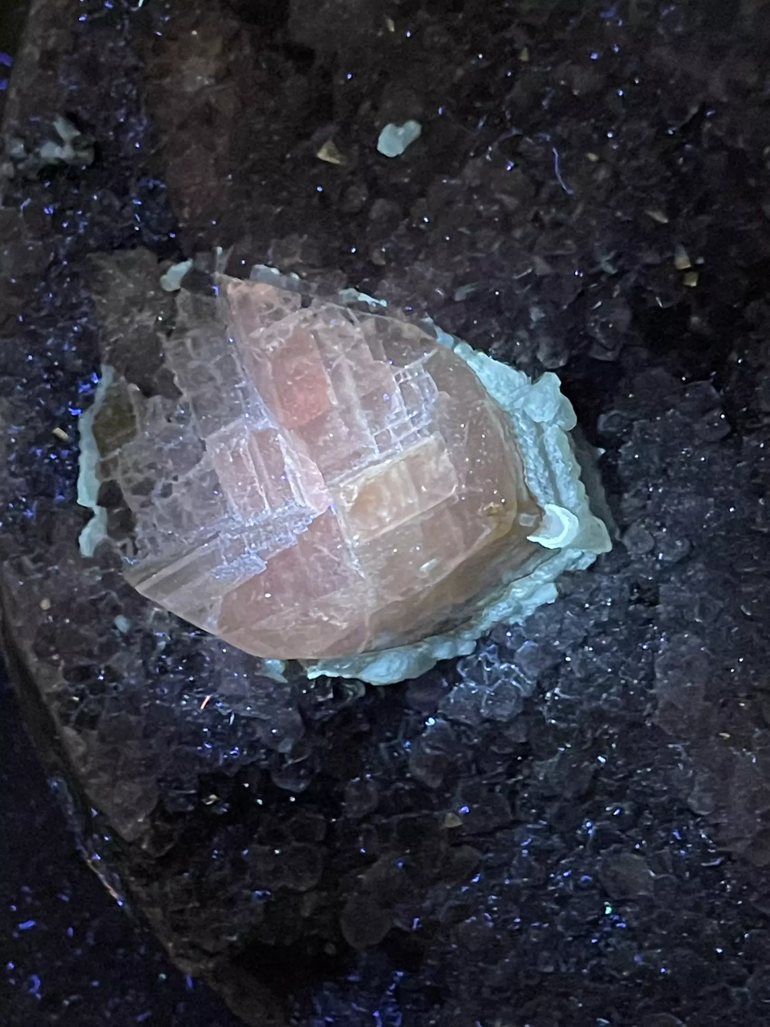 plant/Amethyst with calcite cut base-1