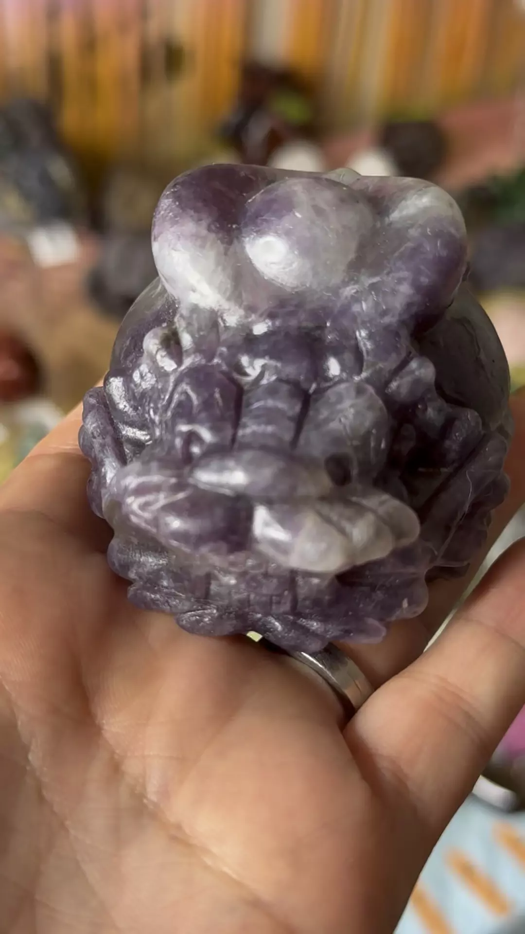 plant/Plum tourmaline-0