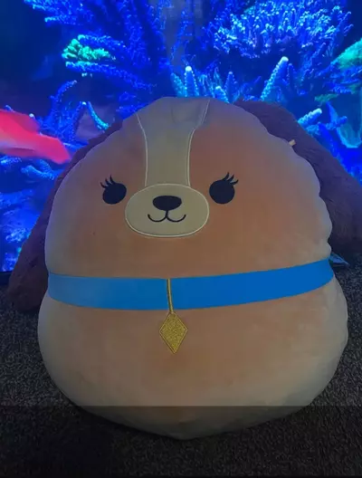 plant/12” Squishmallow Lady (and the tramp)-0-thumbnail