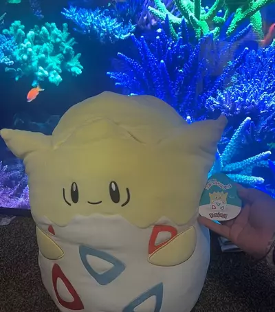 plant/14” Squishmallow Togepi Pokemon-0-thumbnail