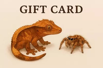 plant/$25 Gift Card-0-thumbnail