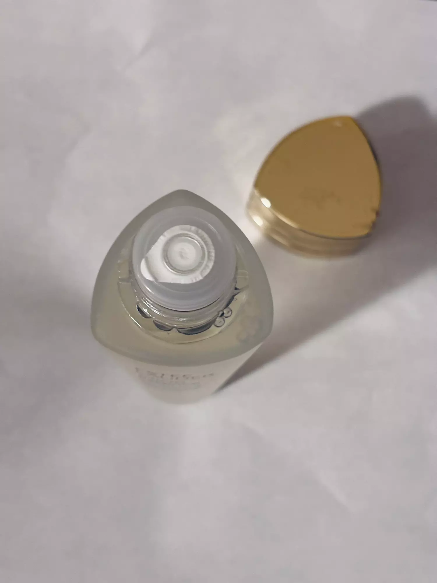 plant/Estée Lauder-1