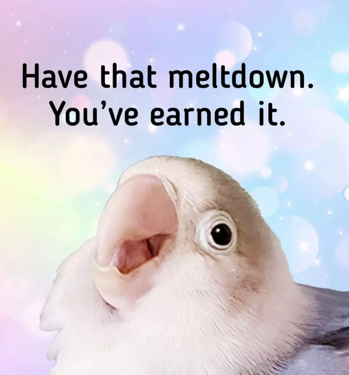 plant/INSULATION ADD ON-0