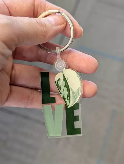 plant/Love Mariposa Acrylic Key Chain-0-thumbnail