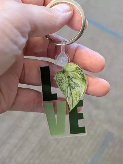 plant/Love Scindapsus GOG Acrylic Key Chain-0-thumbnail