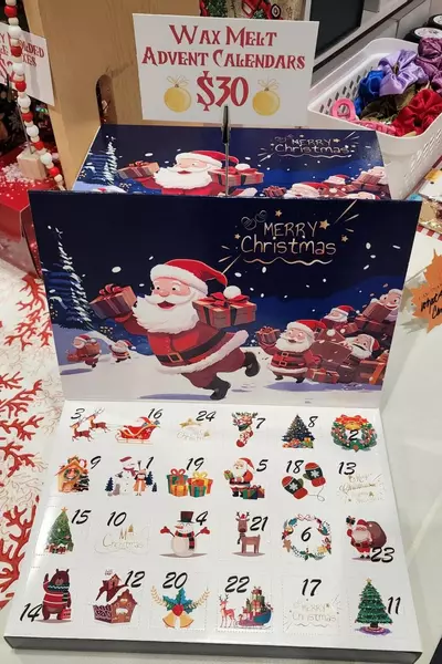 plant/Wax Melt Advent Calendar!-0-thumbnail