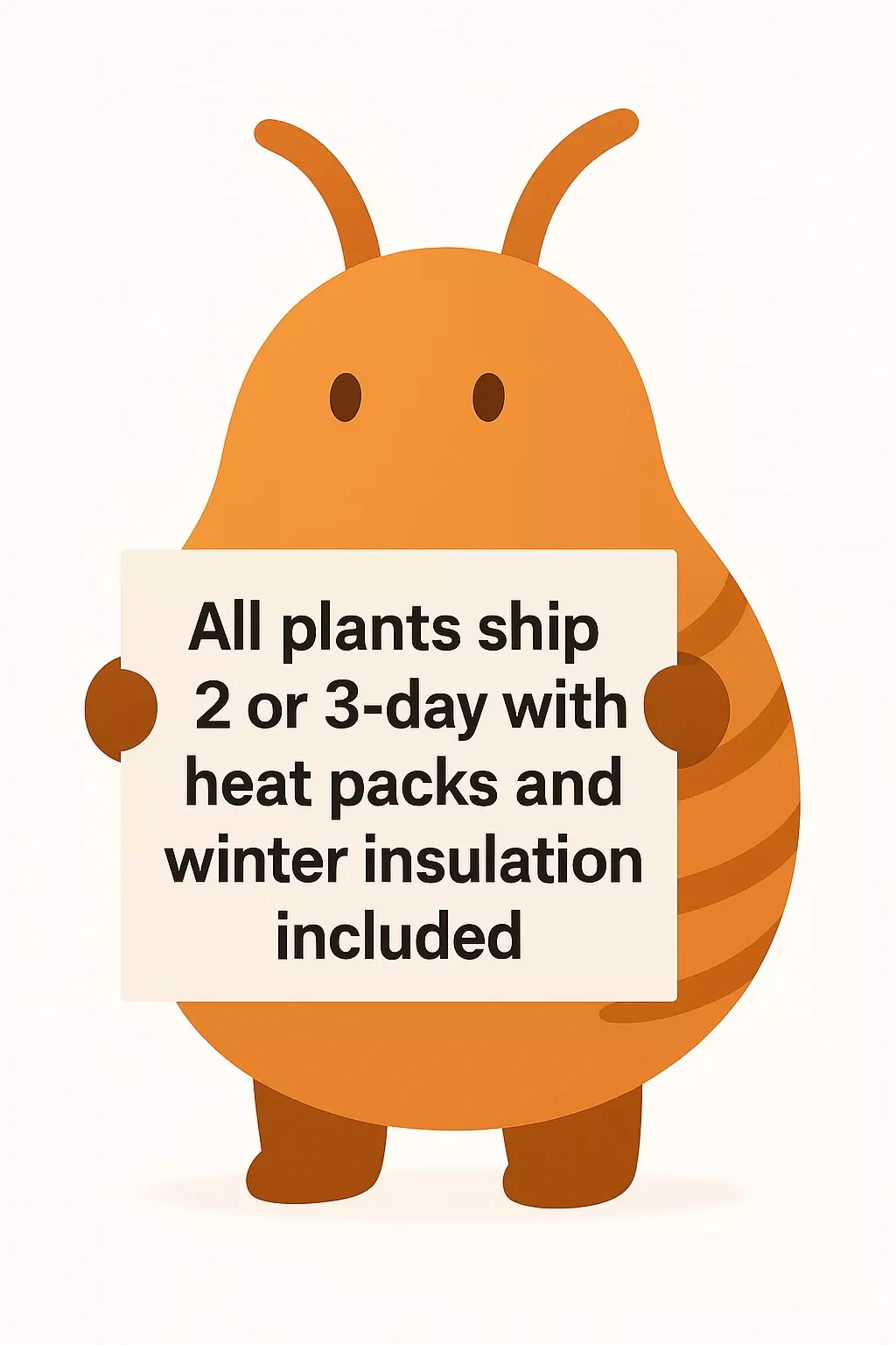 plant/No Need To Add Heatpacks-0